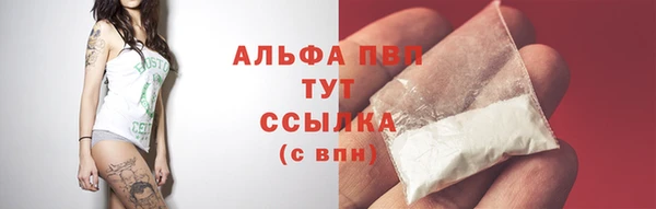 крисы Бронницы