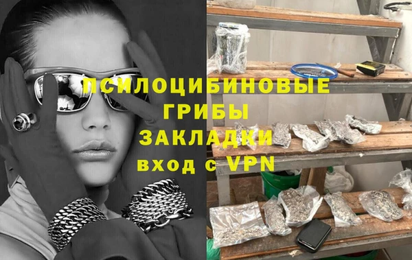 крисы Бронницы