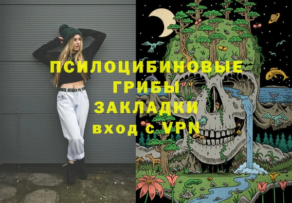 кокс Бородино