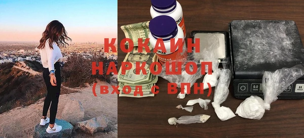 крисы Бронницы