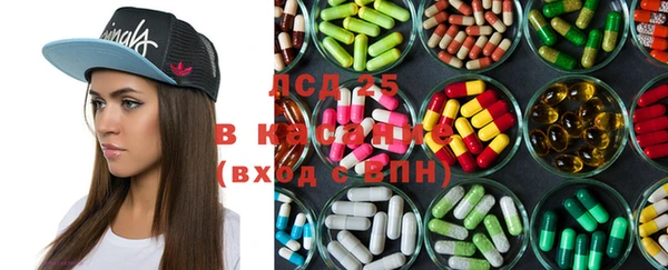 крисы Бронницы
