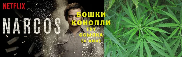 крисы Бронницы