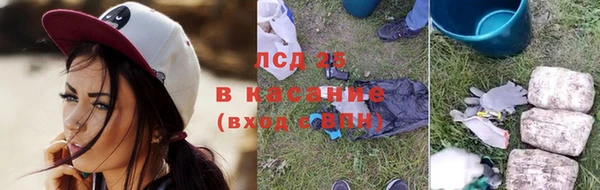 крисы Бронницы
