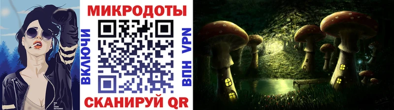 Купить где  Переславль-Залесский  Псилоцибиновые грибы прущие грибы 